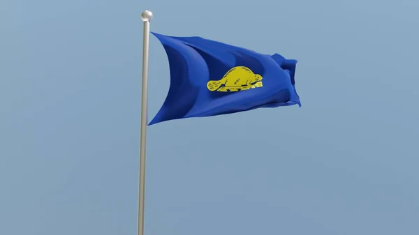 Oregon Flag Flagpole Flag Fluttering Wind Usa National Flag — Stock Photo, Image