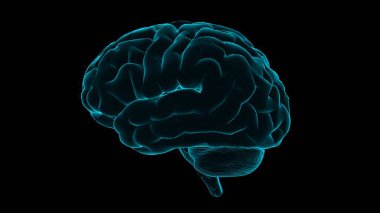 Human brain hologram. Transparent 3D model of human organ on black background. Medicine technology concept. Loop.