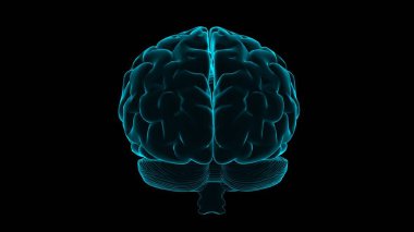 Human brain hologram. Transparent 3D model of human organ on black background. Medicine technology concept. Loop.