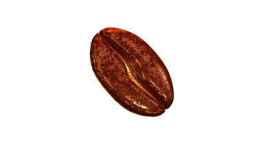Beautiful coffee bean isolated on white background. Single coffee grain. Bean.