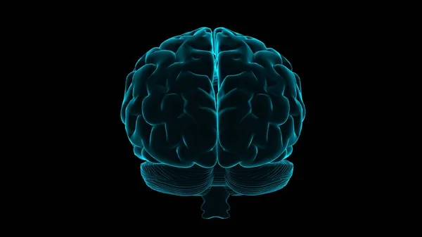 Голограма Людського Мозку Прозора Модель Людського Органу Чорному Тлі Концепція — стокове фото