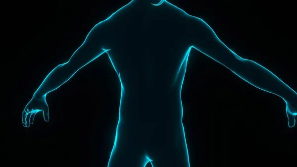 Human Body Human Model Illustration Bioengineering Medical Technology Concept Loopable — Stock Photo, Image