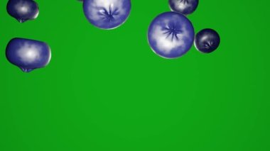Beautiful blueberry. Many berries on chromakey background. Video footage suitable for food promotion.