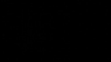 Pulse animation. Heartbeat. Cardiogram on black background. Green chart.