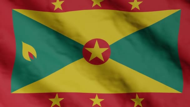 Grenadian Flag Waving Wind Grenada National Flag Video Footage — Video
