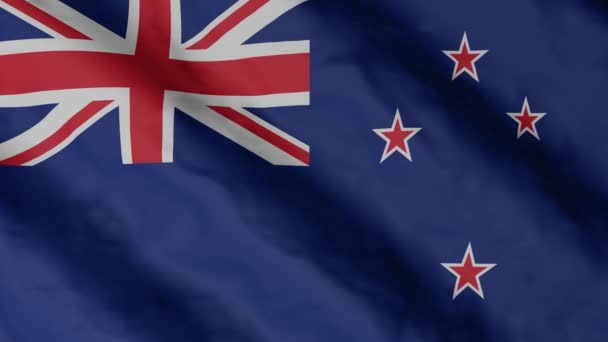 New Zealand Flag Waving Wind New Zealand National Flag Video — Video