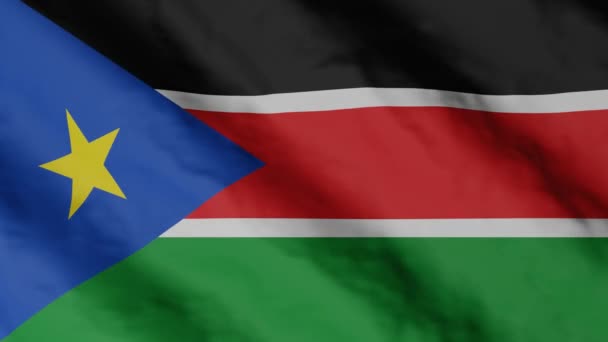 Південносуданський Прапор Махає Вітром Відеозапис Національного Прапора Південного Судану — стокове відео