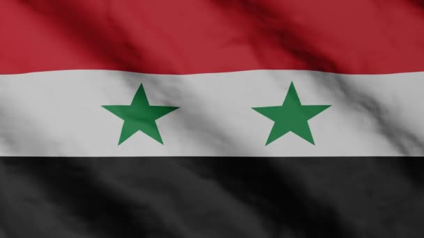 Syrian Flag Waving Wind Syria National Flag Video Footage — Vídeo de Stock