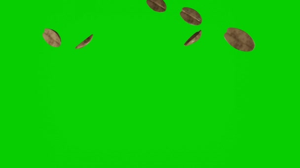 Many Peanut Falling Chromakey Background Nuts Green Screen — Stock Video