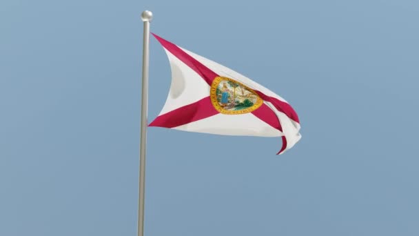 Florida Flag Flagpole Flag Fluttering Wind Usa National Flag — Stockvideo