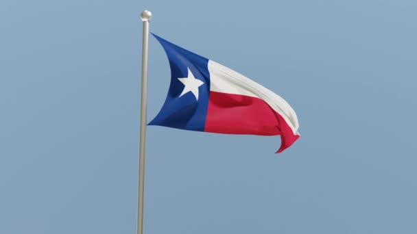 Σημαία Τέξας Κοντάρι Σημαίας Σημαία Κυματίζει Στον Άνεμο Ηπα Εθνική — Αρχείο Βίντεο