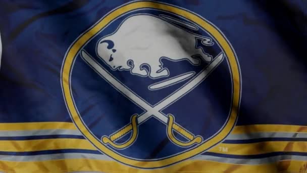 Buffalo Sabres Hockey Club Flag Waving Wind Buffalo Sabres — Stock Video