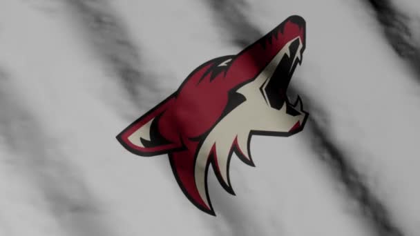 Arizona Coyotes Hockey Club Flag Waving Wind Arizona Coyotes — Stock Video
