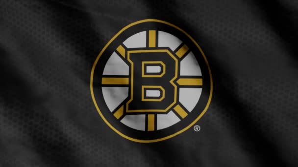 Boston Bruins Hockey Club Flag Waving Wind Boston Bruins — 图库视频影像