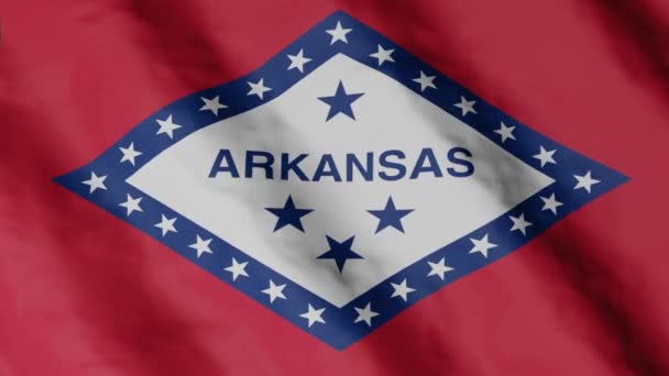 Arkansas Flag Flag Fluttering Wind Usa National Flag — Stock video