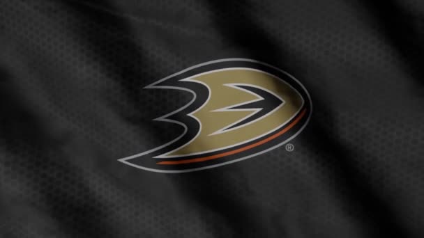 Anaheim Ducks Hockey Club Flag Waving Wind Anaheim Ducks — Stock Video