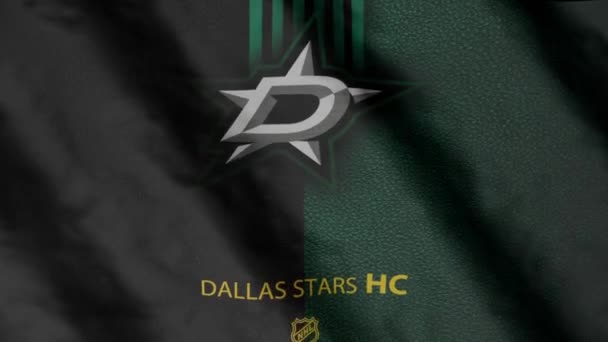 Dallas Stars Hockey Club Flag Waving Wind Dallas Stars — Stockvideo