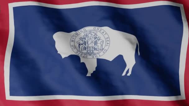 Wyoming Flag Flag Fluttering Wind Usa National Flag — Stok Video
