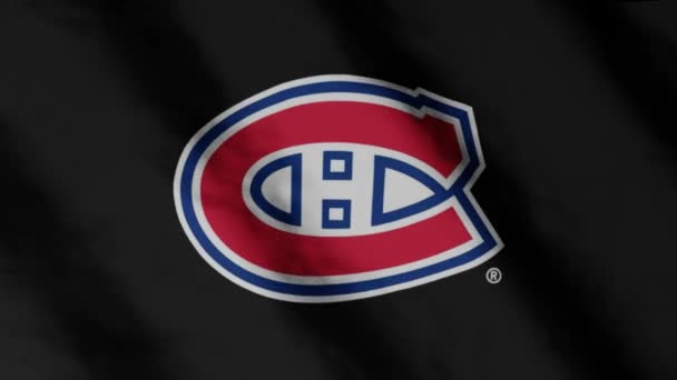 Монреаль Канадиенс Хоккейный Клуб Флаг Размахивая Ветром Монреаль Канадиенс — стоковое видео