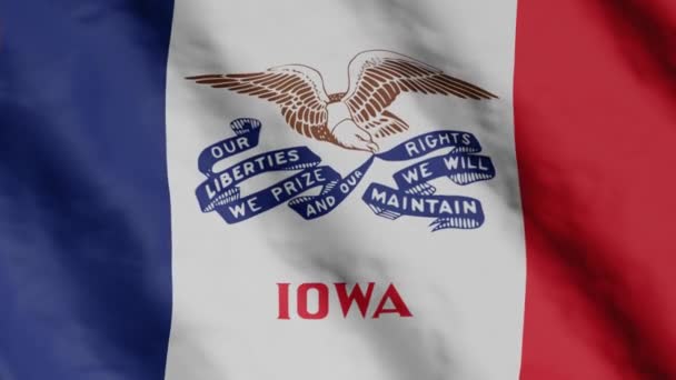 Iowa Flag Flag Fluttering Wind Usa National Flag — Stock video