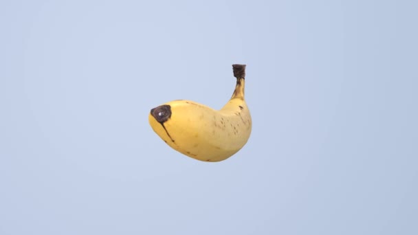 Realistic Banana Rotation White Background Fruit — Vídeo de stock