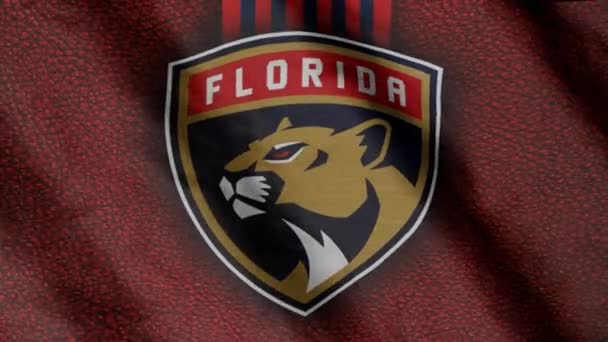 Florida Panthers Hockey Club Flag Waving Wind Florida Panthers — Stock video