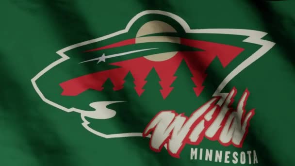 Minnesota Wild Hockey Club Flag Waving Wind Minnesota Wild — Stock Video