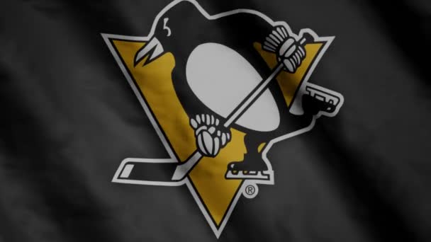 Флаг Хоккейного Клуба Питтсбург Пингвинз Размахивает Ветром Питтсбург Пингвинз — стоковое видео