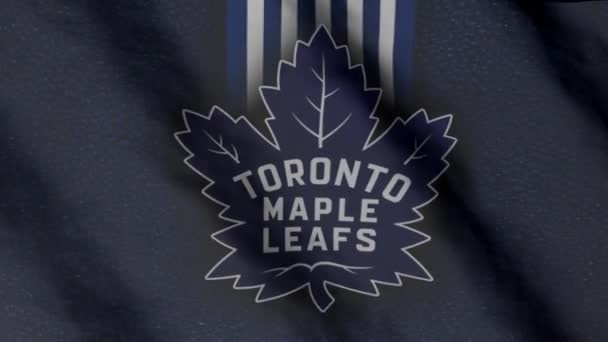 Toronto Maple Leafs Hockey Club Flag Waving Wind Toronto Maple — Stockvideo