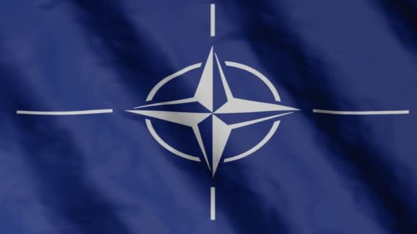 Nato Army Flag Military Organization Flag Fluttering Wind Europe — Vídeo de stock
