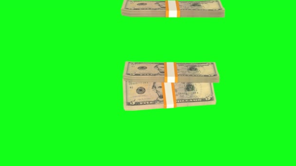 Dollar Money Composition Financial Background Many Banknotes Wads Money Business — Video Stock