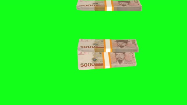 5000 South Korean Won Money Composition Financial Background Many Banknotes — ストック動画