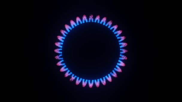 Gas Burner Blue Methane Gas Stove — Stock video