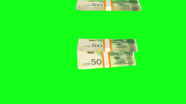 Israeli Shekels Money Composition Financial Background Many Banknotes Wads Money — Stock Video