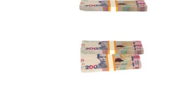200 Ukrainian hryvnia money composition. Financial background. Many banknotes and wads of money. Business or economy concept. Cash.