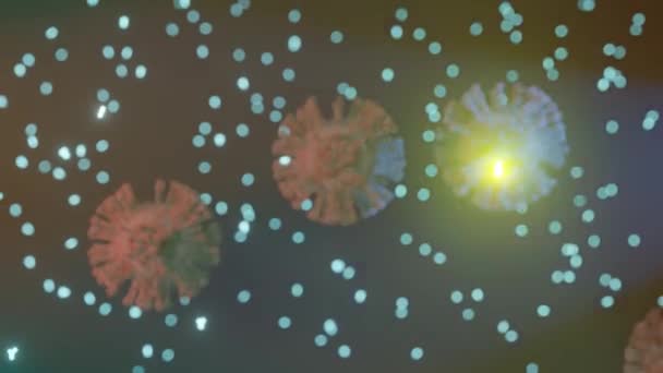 Gli Anticorpi Attaccano Cellule Del Virus Coronavirus — Video Stock