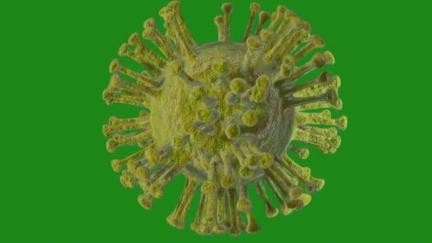 항체는 바이러스의 세포를 공격한다 코로나 바이러스 화면에 비디오 — 비디오