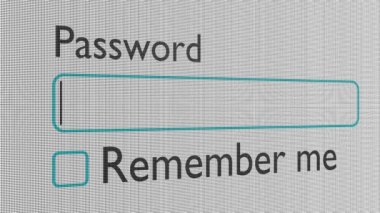 Entering password on computer. Parole. Internet security concept.