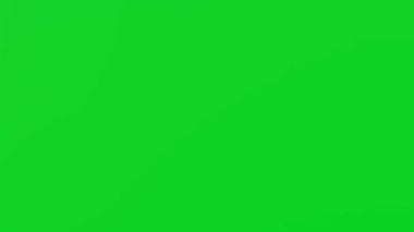 The air plane is flying on chromakey background. Passenger flight. Green screen.
