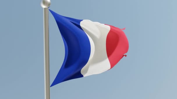 Bandiera Francese Sul Pennone Francia Bandiera Sventola Nel Vento — Video Stock