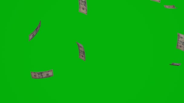 Dollar Money Composition Financial Background Many Banknotes Wads Money Business — Videoclip de stoc