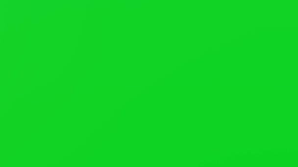 Літак Летить Фоні Хромакії Пасажирський Рейс Зелений Екран — стокове відео