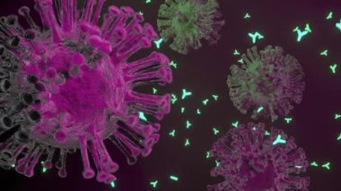 Abstract virus cells with antibodies. Coronavirus cells video. Covid-19 bodies collapse. Vaccination.