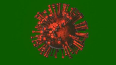 Virus cell video. Covid-19 body collapse on chromakey background. Microbe.