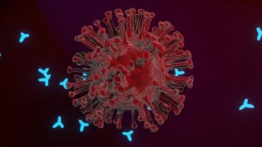 Abstract virus cells with antibodies. Coronavirus cells video. Covid-19 bodies collapse. Vaccination.
