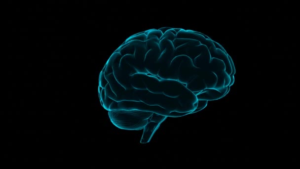 Human Brain Hologram Transparent Model Human Organ Black Background Medicine — Video Stock