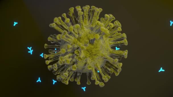 Abstract Virus Cells Antibodies Coronavirus Cells Video Covid Bodies Collapse — 비디오