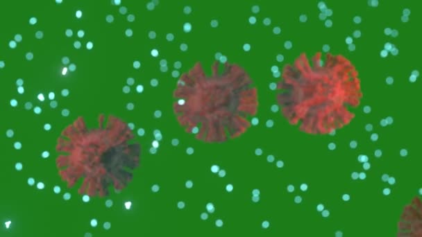 Virus Cell Video Covid Body Collapse Chromakey Background Microbe — Wideo stockowe