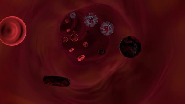 Virus Blood Cells Vein Medical Concept — Wideo stockowe