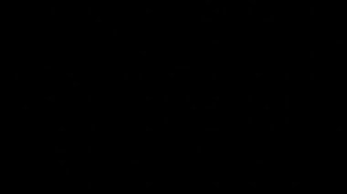 Pulse animation. Heartbeat. Cardiogram on black background. Green chart.